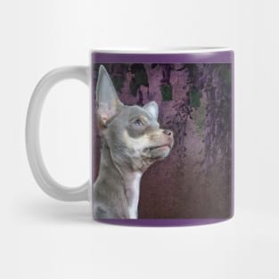 Cute Cheeky Chihuahua Face Purple flower art Mug